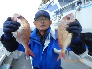 タイ(マダイ)