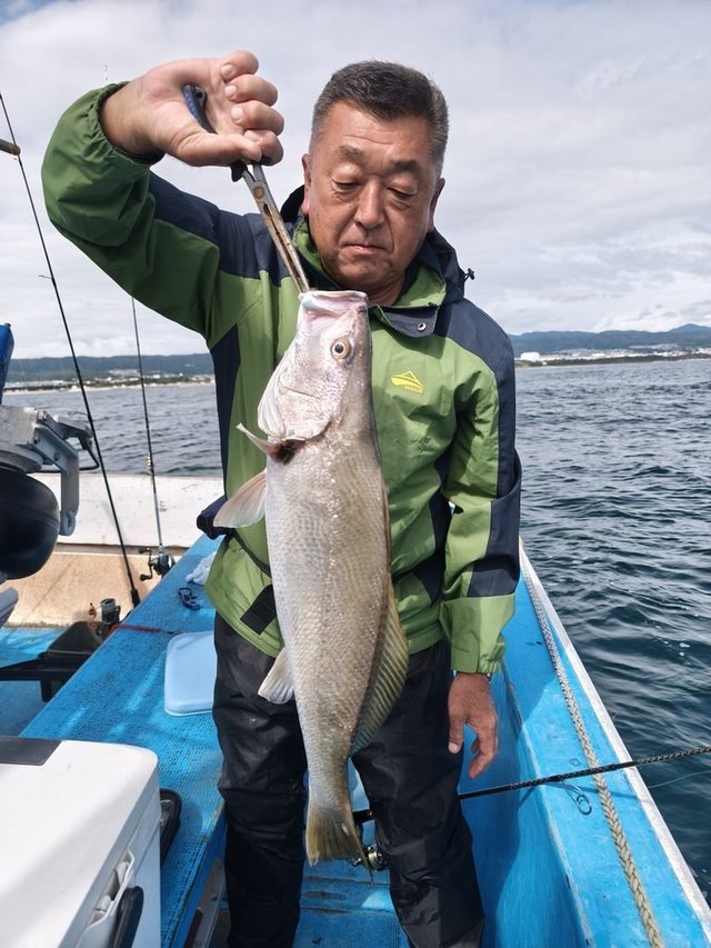 ニベ