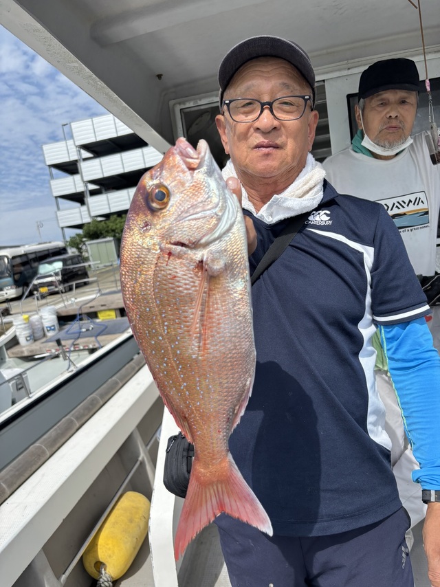 マダイ