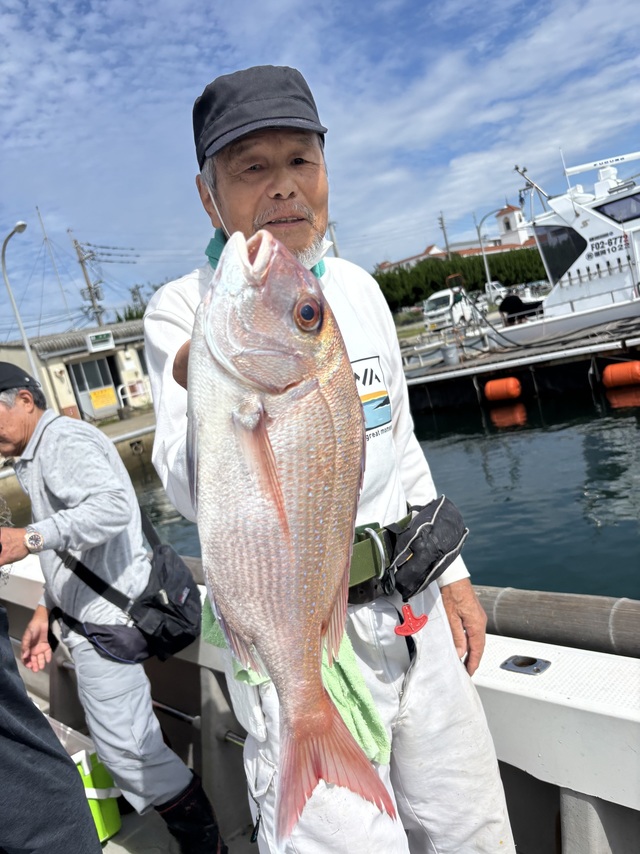 マダイ