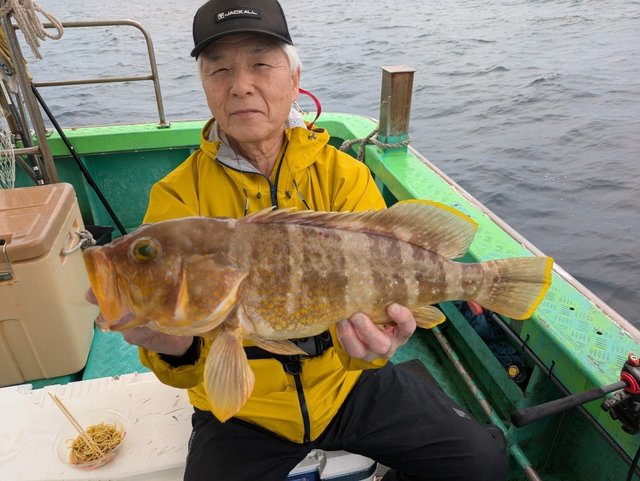 アオハタ