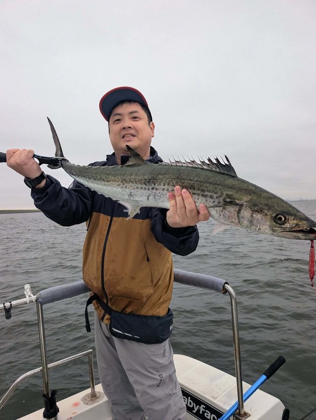 サワラ