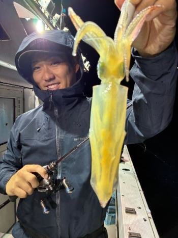 マイカ(ケンサキイカ)