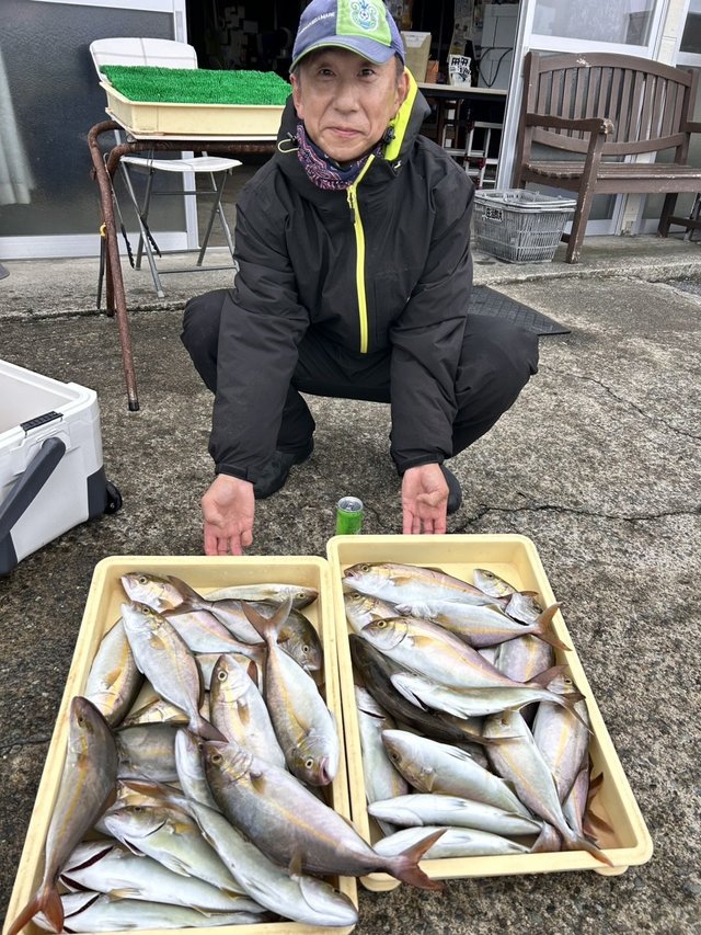 イナダ(ブリ)・カンパチ