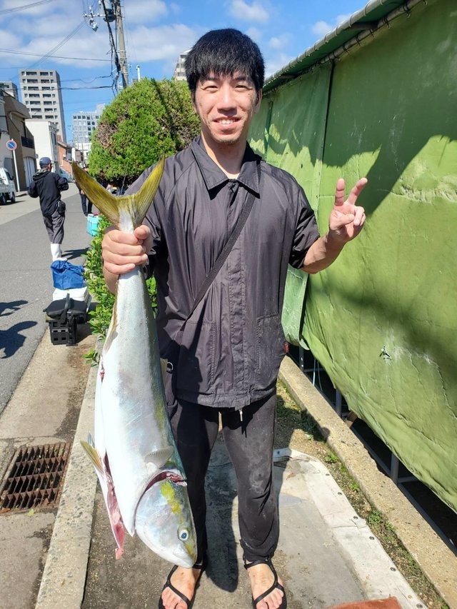 ブリ