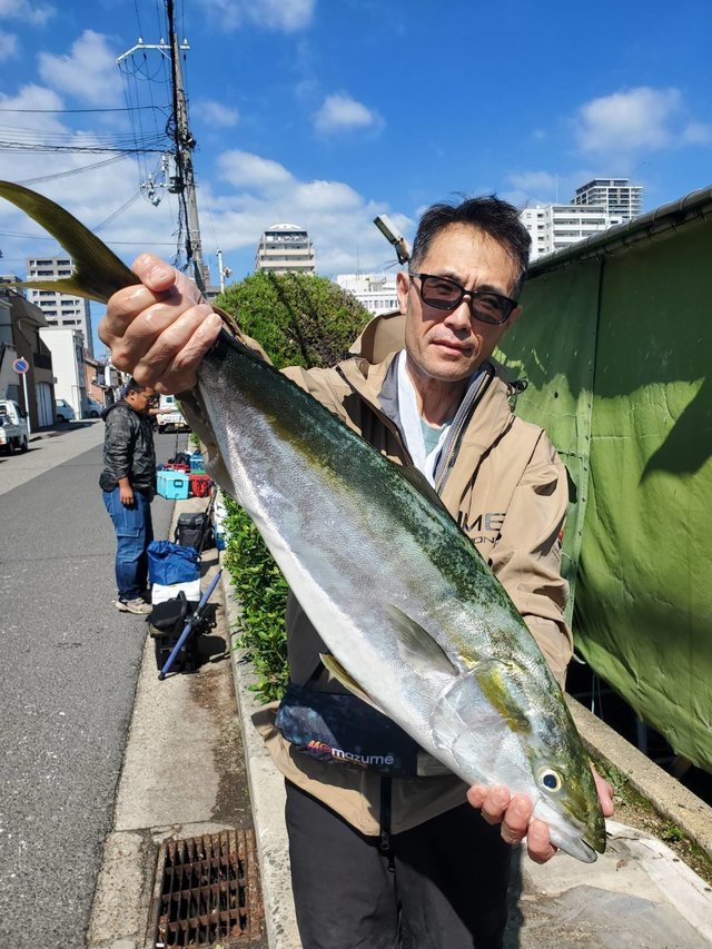 ブリ