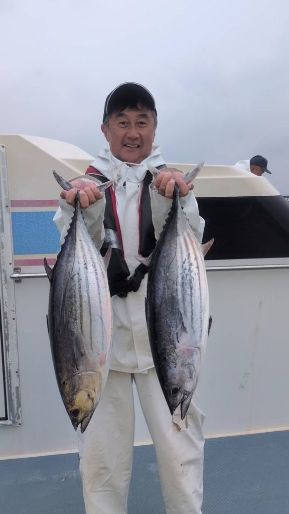 カツオ