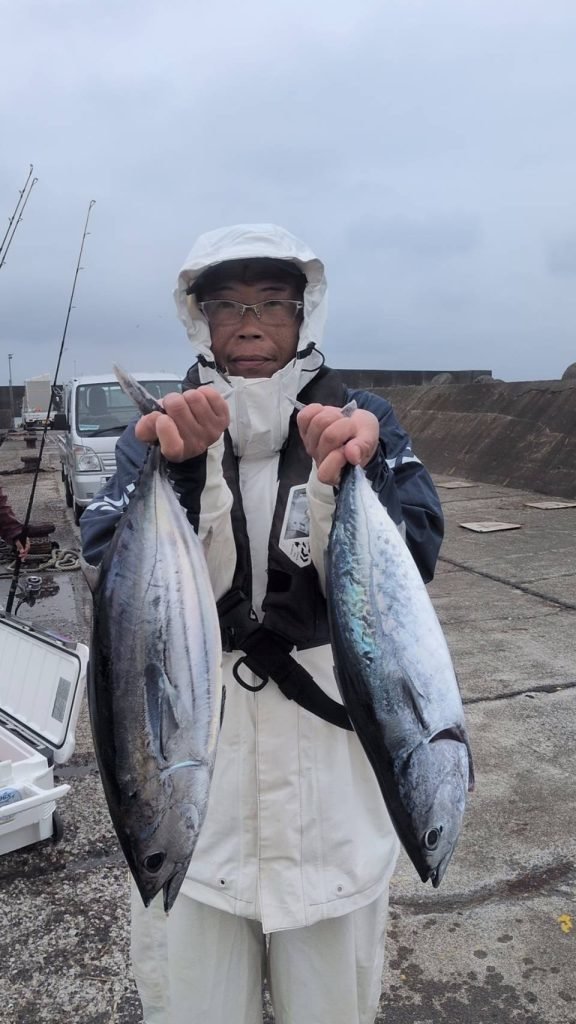 カツオ・ヒラソーダ(ヒラソウダ)