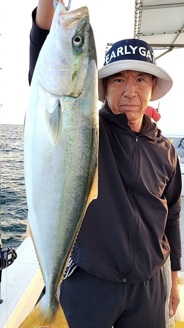 ブリ