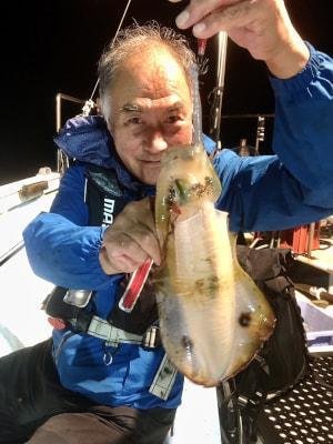 アオリイカ