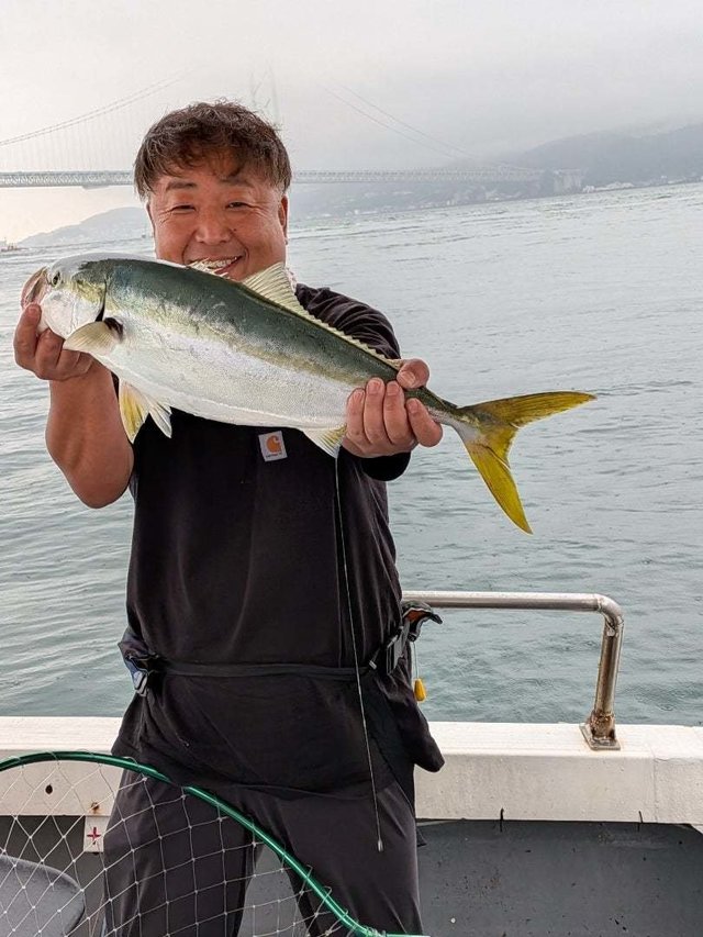 ハマチ(ブリ)