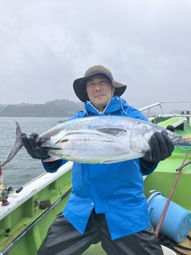 ホンガツオ(カツオ)