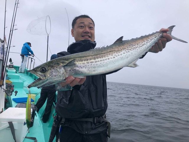 サワラ