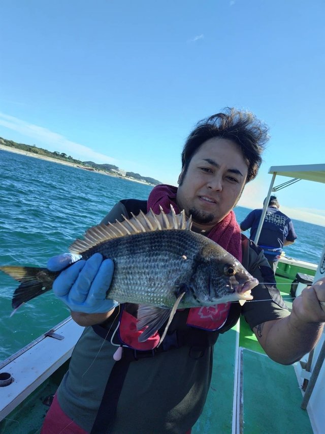 クロダイ