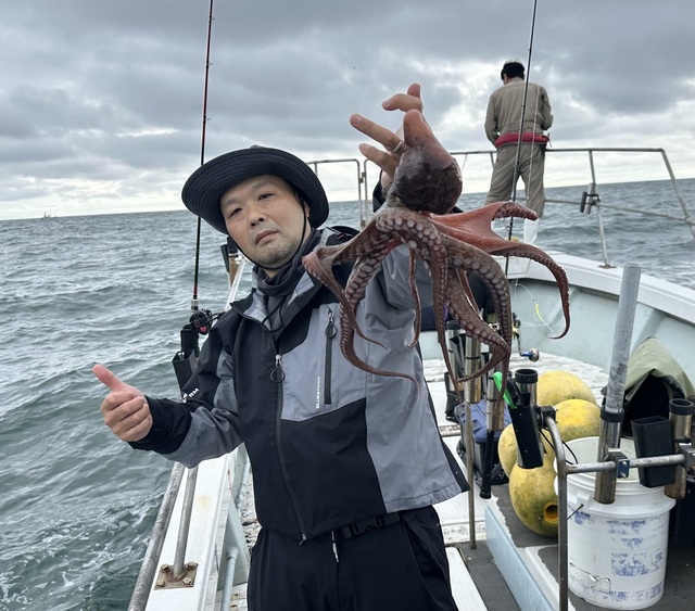 マダコ
