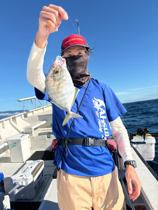 カイワリ