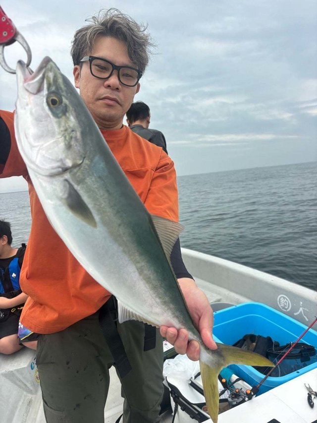 ハマチ(ブリ)