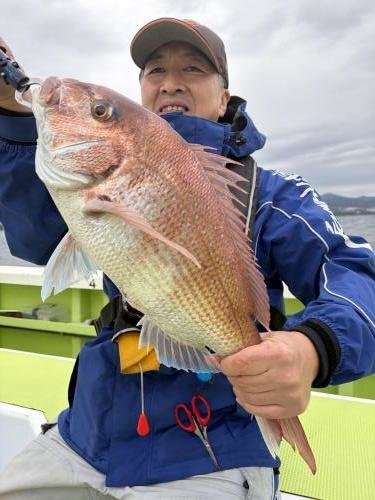 マダイ