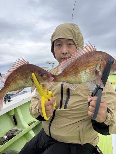 マダイ