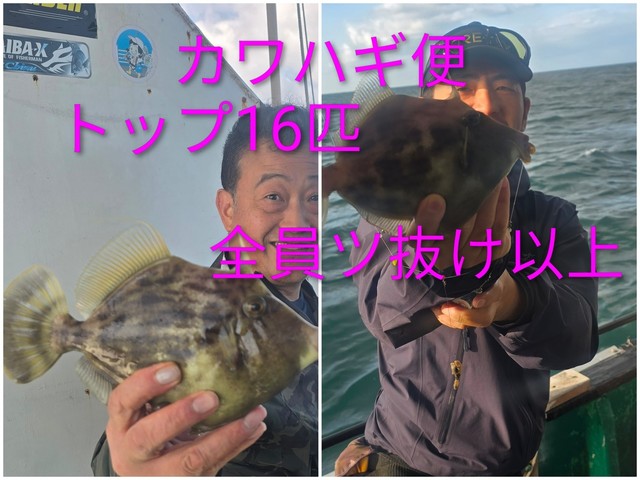 カワハギ