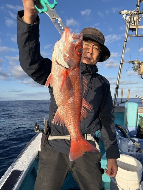 アカムツ