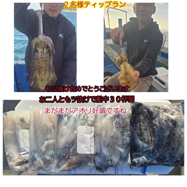 アオリイカ