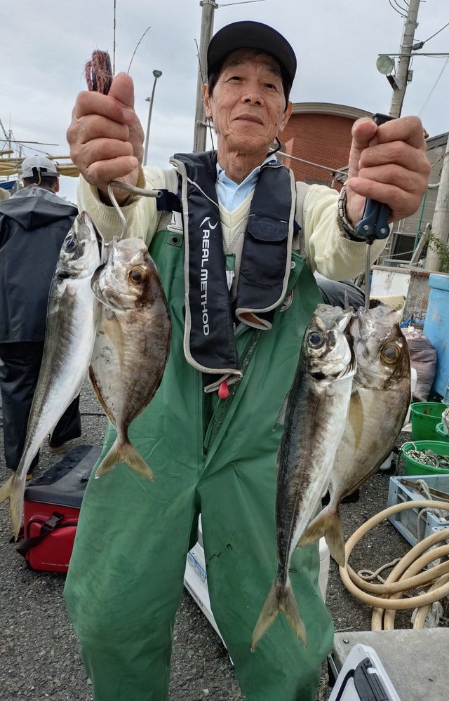 アジ(マアジ)