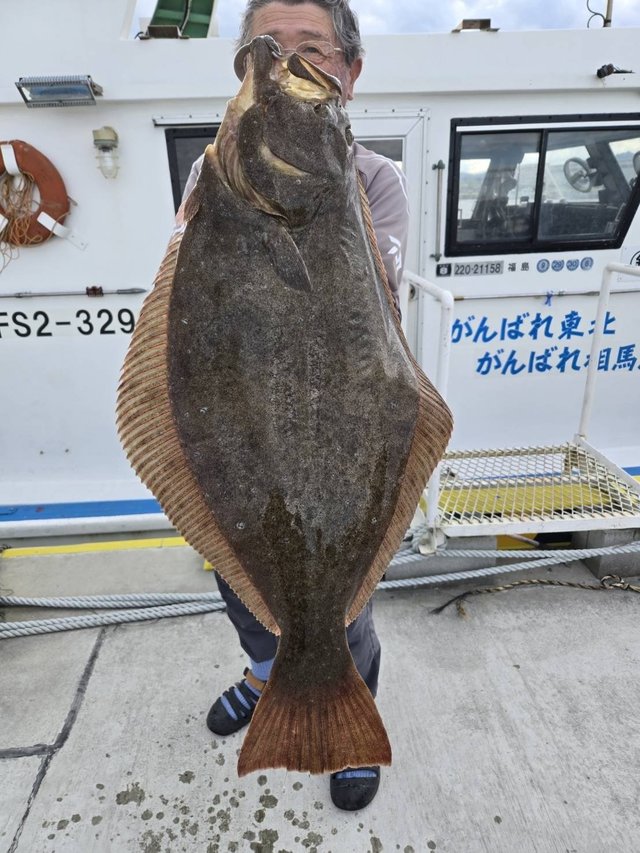 ヒラメ