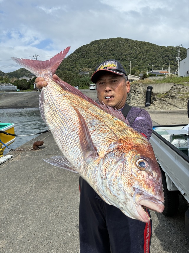 マダイ