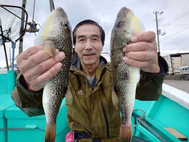 ショウサイフグ