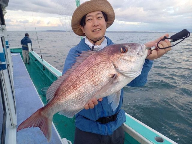 マダイ