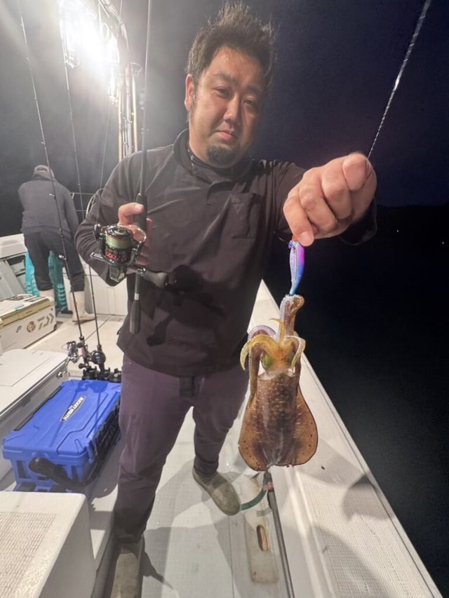 アオリイカ