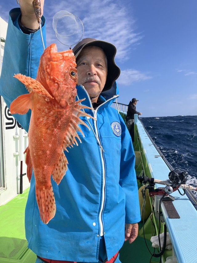 オニカサゴ