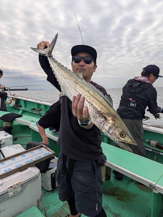 サワラ