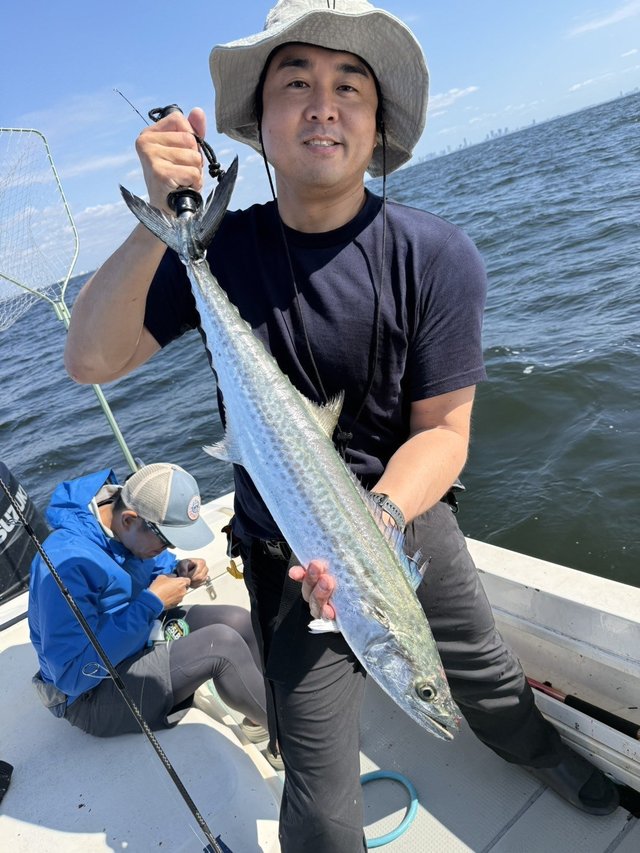 サワラ