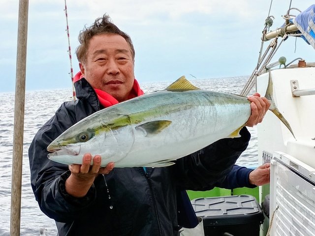 ワラサ(ブリ)