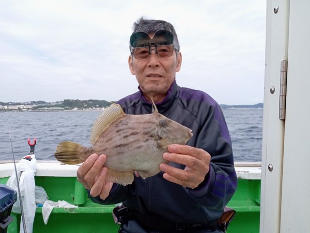カワハギ