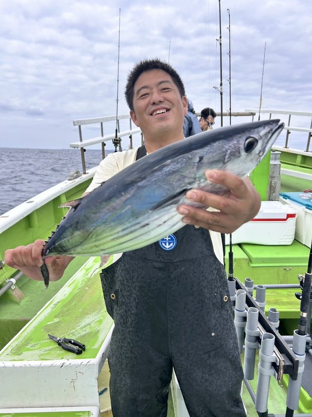 カツオ