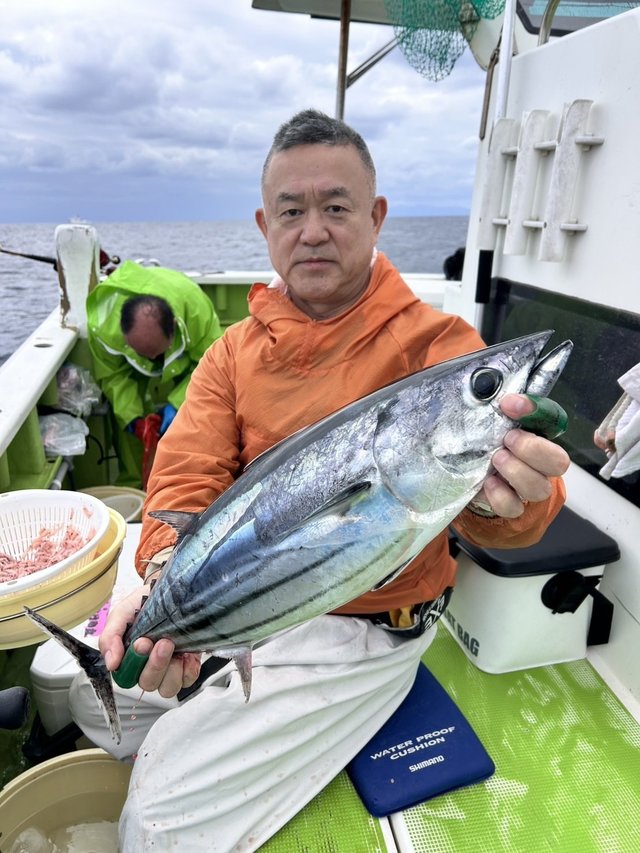 カツオ
