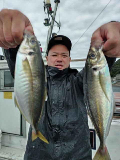 アジ(マアジ)
