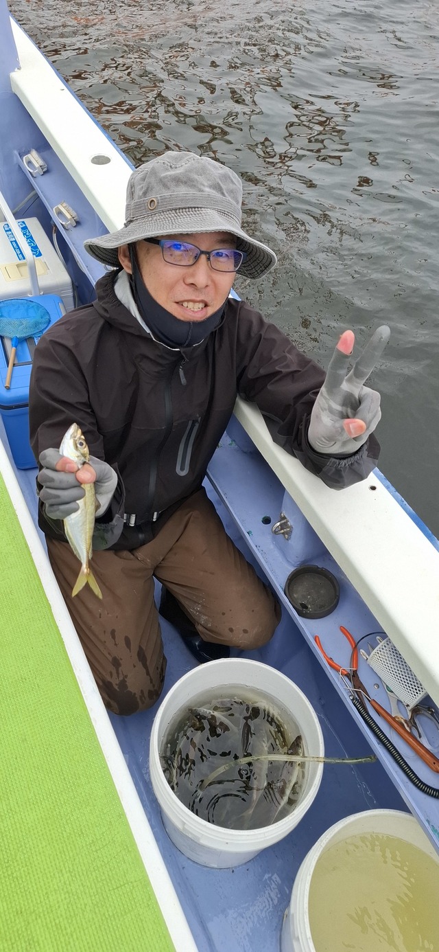 アジ(マアジ)