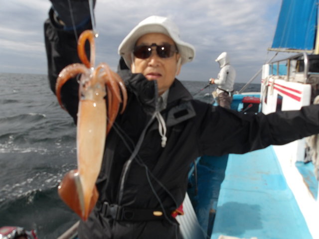 スルメイカ