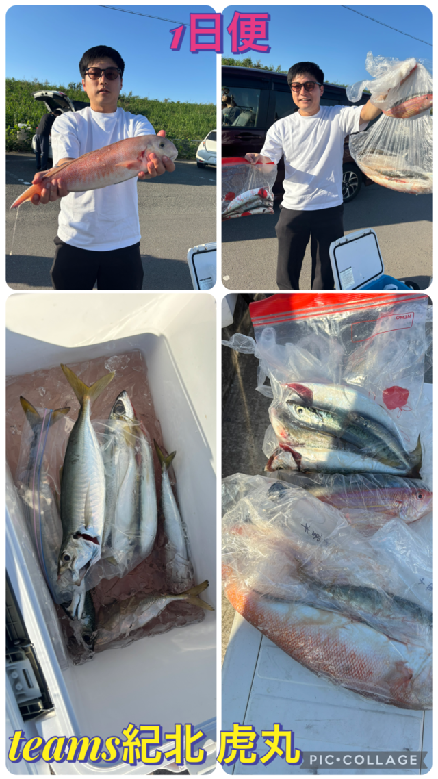 アジ(マアジ)・シロアマダイ・ゴマサバ
