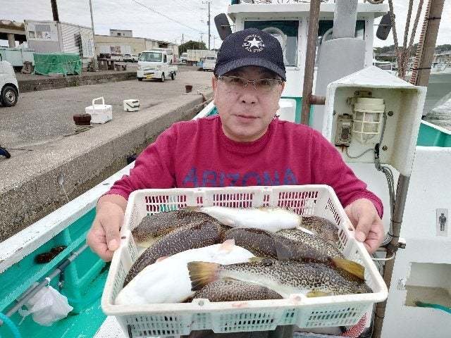 ショウサイフグ