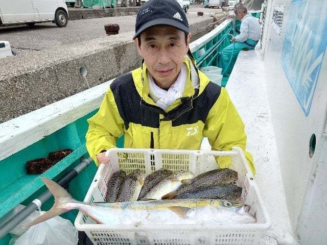 ワラサ(ブリ)・ショウサイフグ