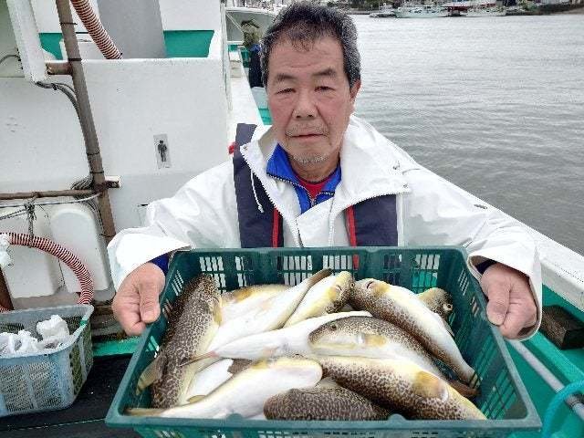 ショウサイフグ
