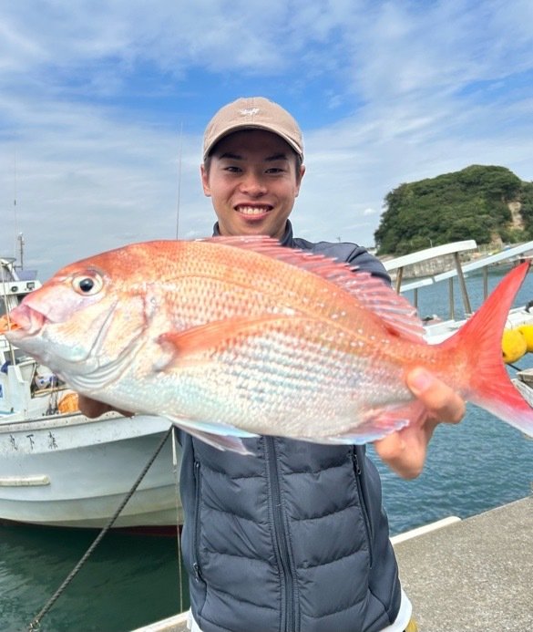 マダイ