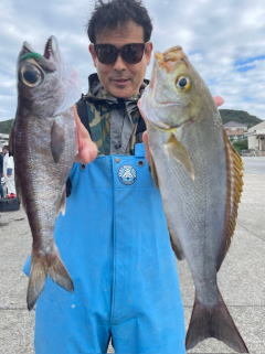 イサキ・クロムツ