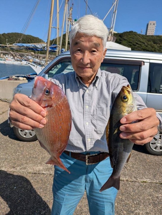 ハナダイ(チダイ)・イサキ