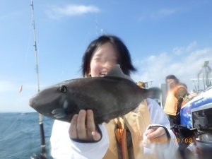 ウマヅラハギ